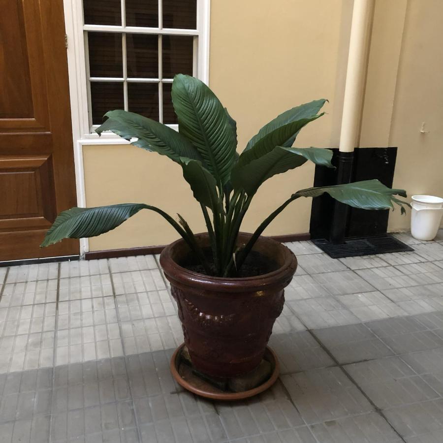 101 Suites باراماريبو المظهر الخارجي الصورة